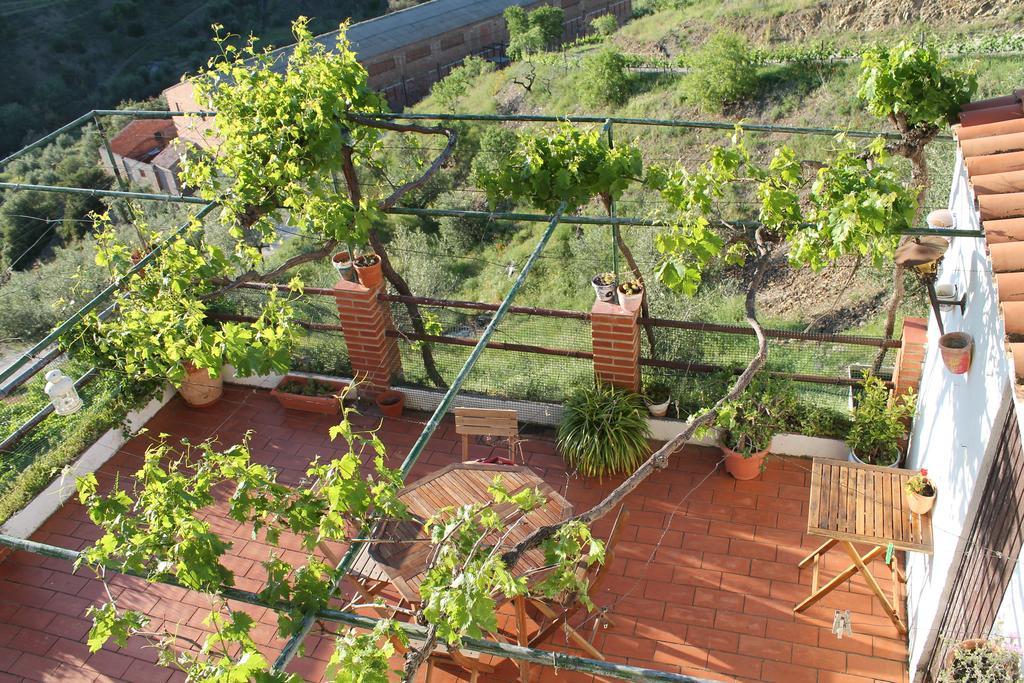 Villa Cal Millo Vilella Alta Exterior foto